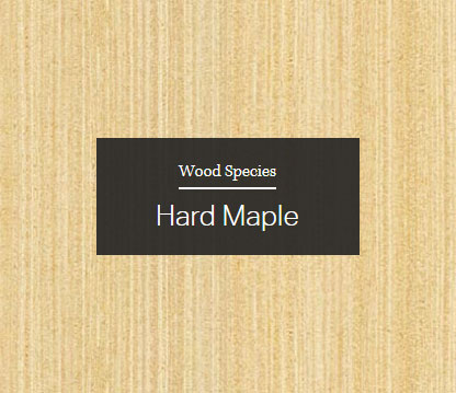 Hard Maple Wood sample