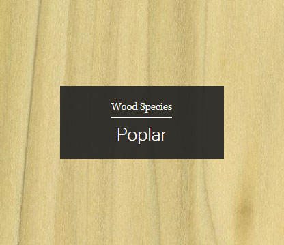 Poplar Wood Sample